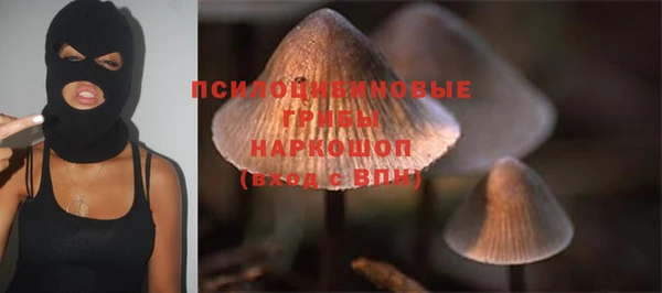 гашиш Сосновоборск