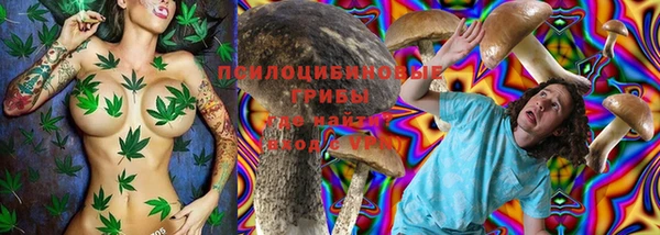 ГАЛЛЮЦИНОГЕННЫЕ ГРИБЫ Сосновка