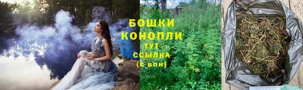 прущая мука Верея