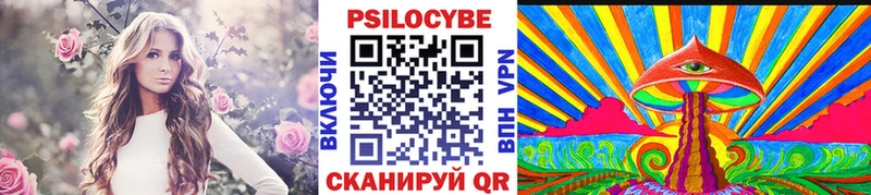 Галлюциногенные грибы Magic Shrooms  как найти   Горячий Ключ 